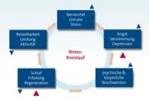 Stress:  Symptome & Folgen